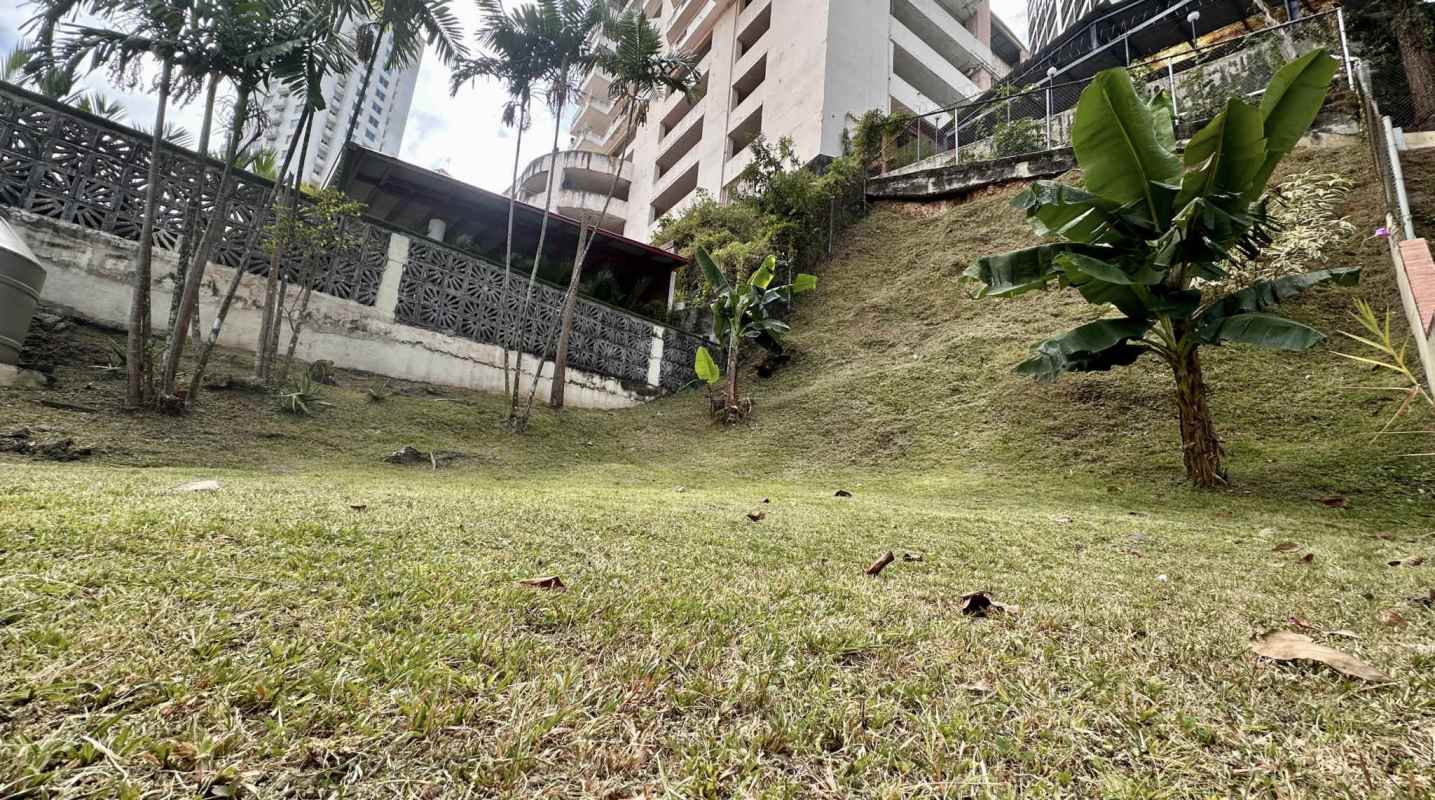 Grassy garden slope with banana trees and retaining wall Villa de las Fuentes Panama