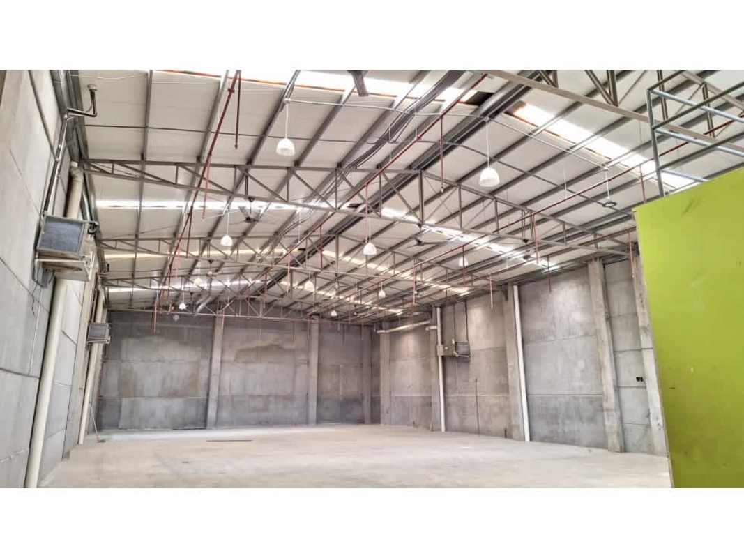 Warehouse interior featuring mezzanine office and roller door in Costa del Este Panama