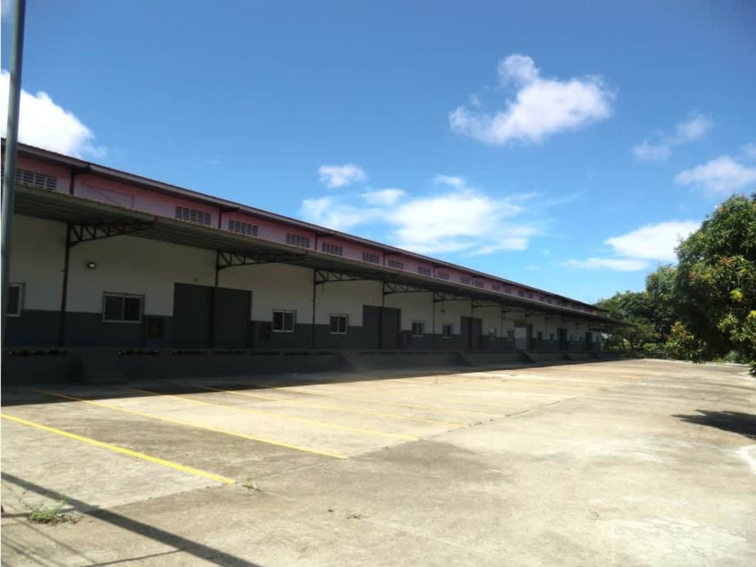 Large loading zone suitable for trucks and containers at Juan Díaz warehouse for rent