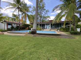 Infinity swimming pool with palm trees and landscaped gardens at beachfront home Panama.