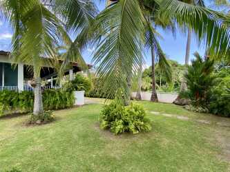 Garden with palm trees, patio space at luxury beachfront estate Coronado Panama.