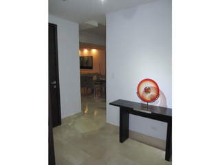 Apartment for Rent in Punta Pacífica - 2 bedrooms