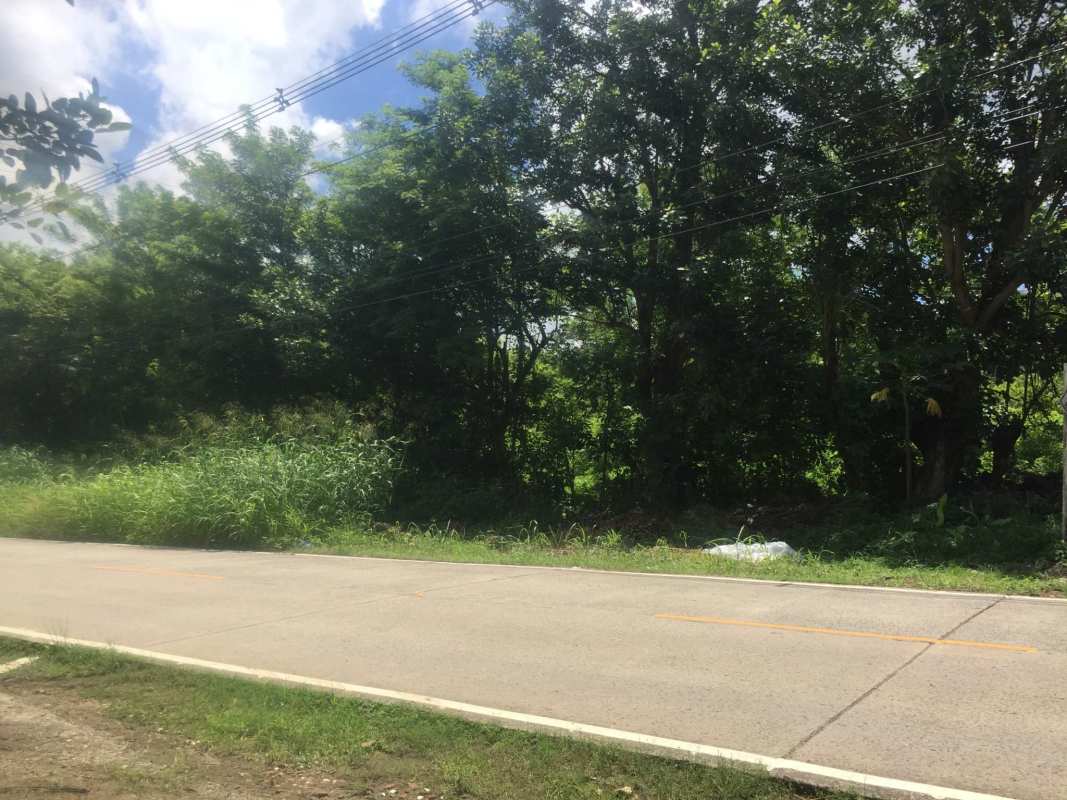 Paved road beside wooded lot near Panama Golf Club entrance Brisas del Golf Panama City