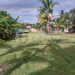 Land Lot for Sale in Chame - 0 bedrooms