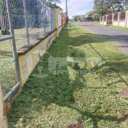 Vacant beach lot with palm trees and fence inside Bahia Serena Coronado Panama