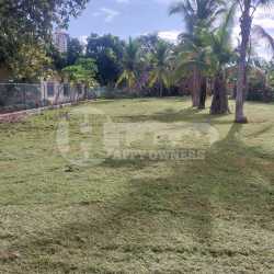 Spacious palm tree lot with fencing inside Bahia Serena Coronado beach community Panama