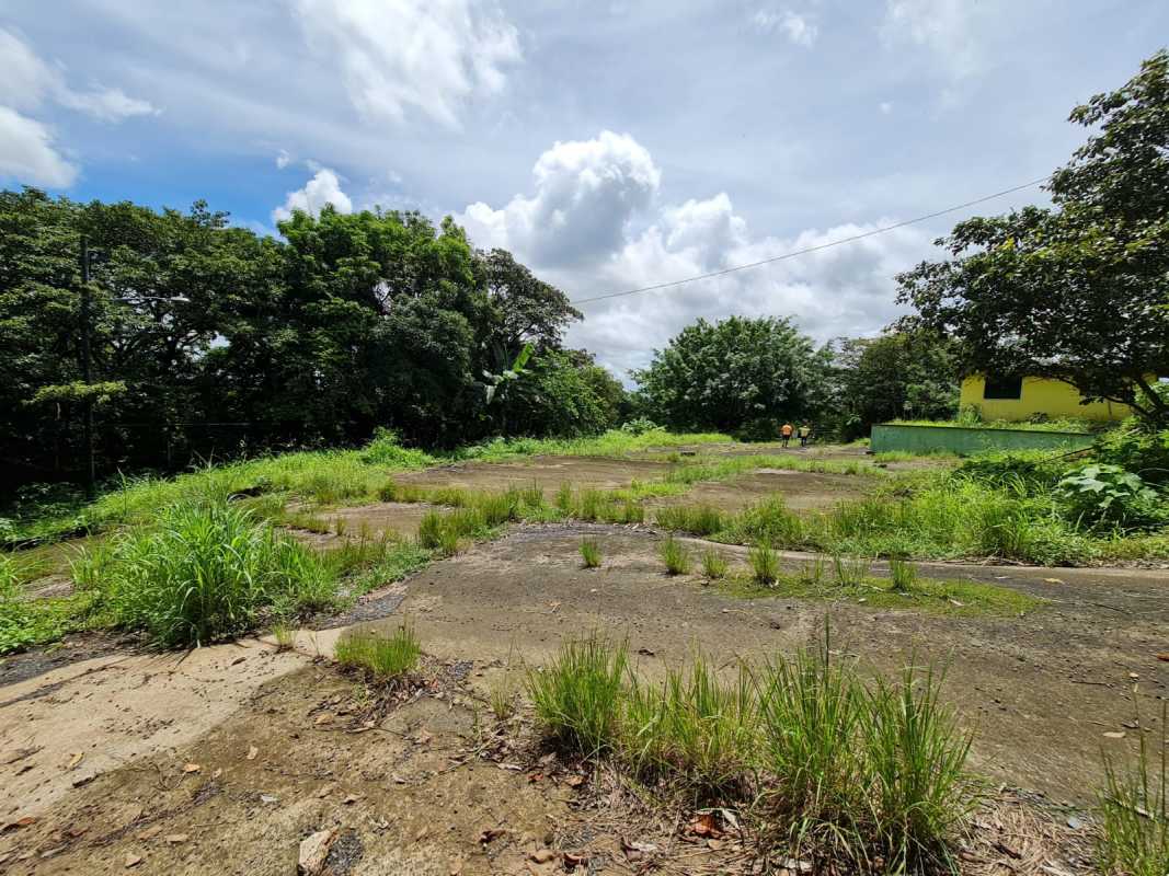 Lush mature trees and grassy areas on fenced rural land near Panama City