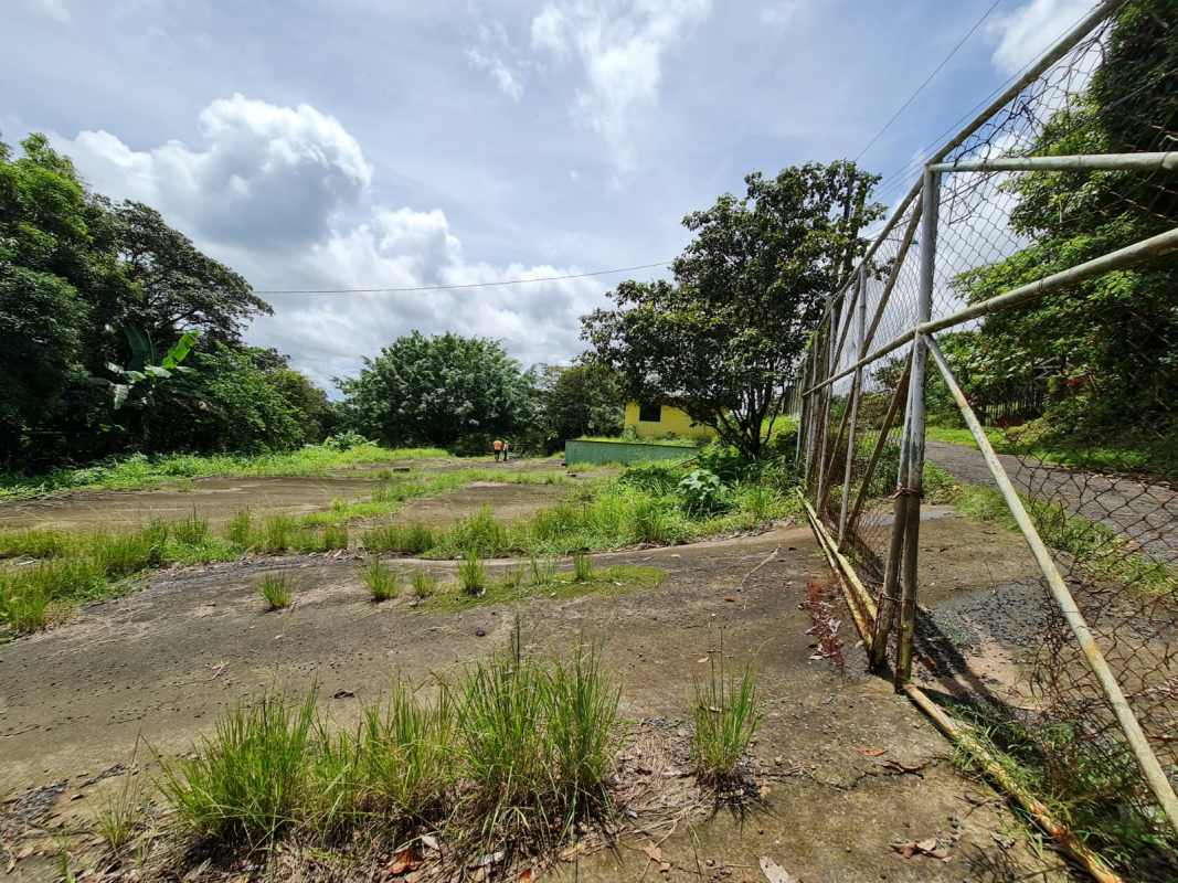 Fenced mixed-use lot with metal gate surrounded by greenery near Panama City