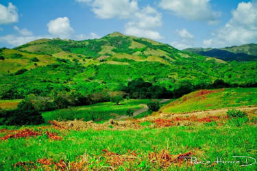 Green rolling hills and open sky panoramic farmland view Penonomé Coclé