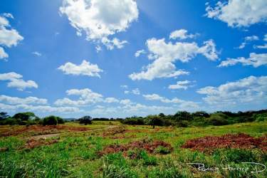 Grassy meadow with mountain terrain and blue sky Penonomé real estate farm land