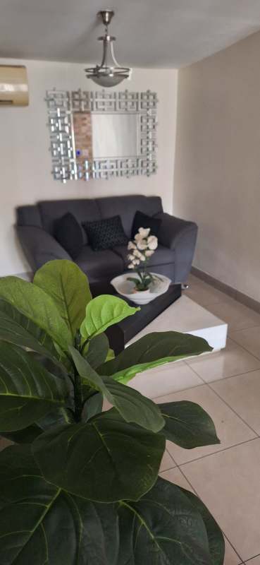 Living room open space with mirror, sofa, plants at PH Prisma Panama City