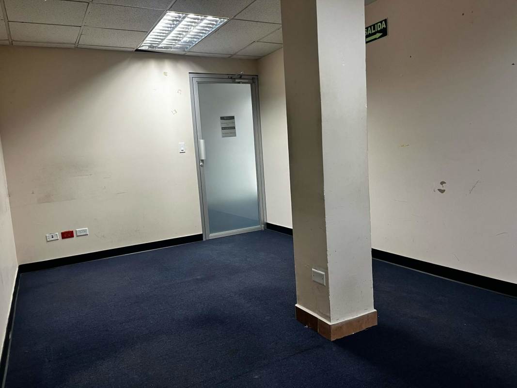Private office room with dark carpet, cream walls, frosted glass door in Victoria Plaza Obarrio Panama City