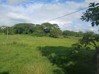 Land for Sale in Capira - 0 bedrooms