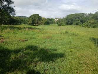 Grassy land with power poles along Interamericana Highway in Capira Panama investment land