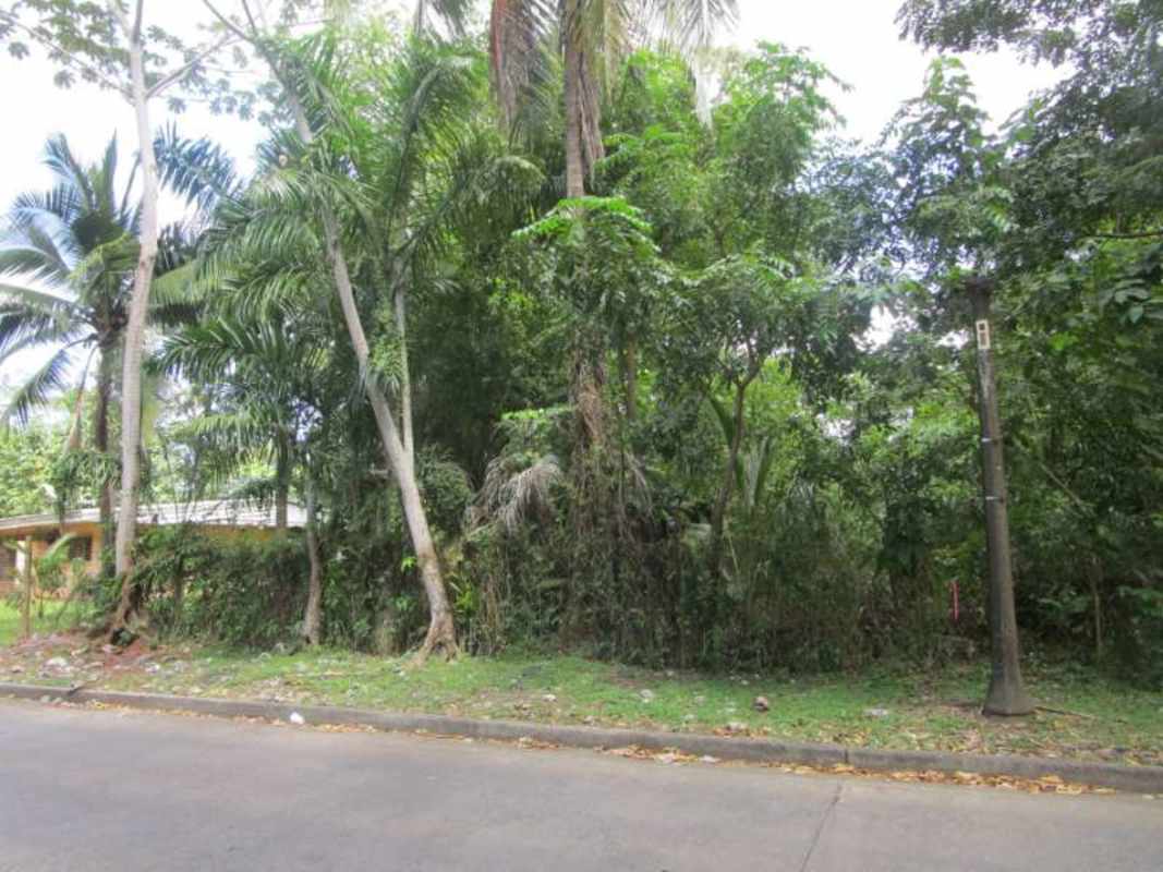 Vacant residential lot with tropical vegetation and street curb in Ancón near downtown Panama