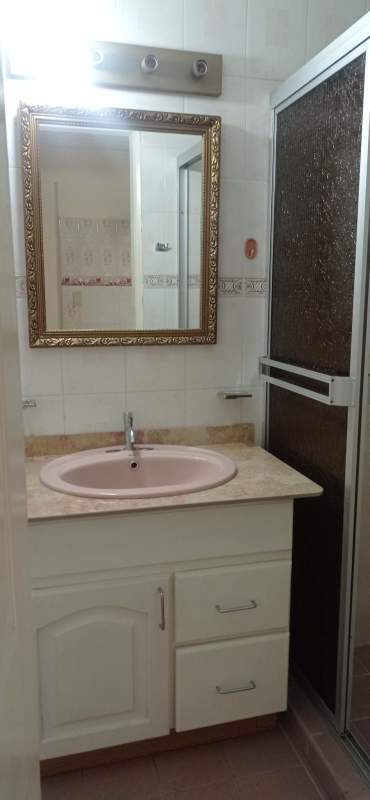 Bathroom vanity with marble, pink sink and glass shower Villa Flor apartment Panama