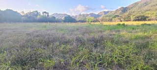 Land for Sale in Guzmán - 0 bedrooms