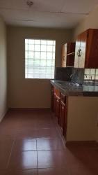 Simple single level house with metal roof and barred windows in David for rent