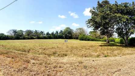 Buildable land in Pedasi Panama with street access and nearby power lines Equus Village