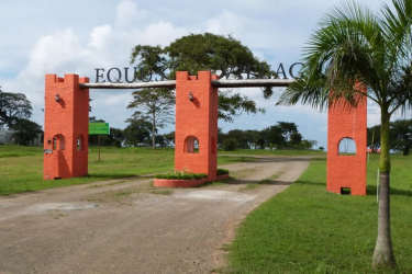 Spacious grassy lot surrounded by palm trees perfect for building in Pedasi Panama