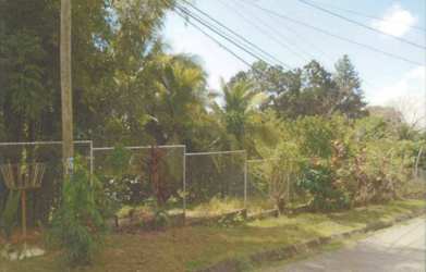 Access road with chain-link fence, utility poles, lush vegetation at residential lot Panama Oeste