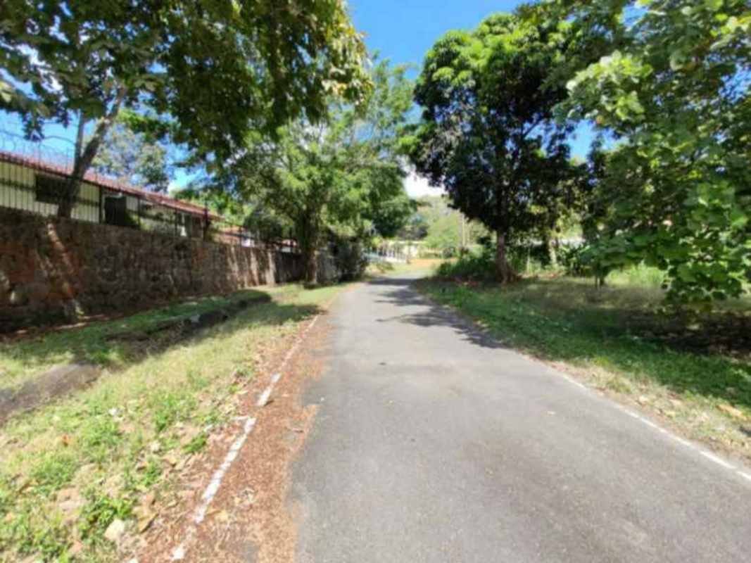 Quiet suburban street with fence, stone wall and dense greenery in Las Cumbres Panama