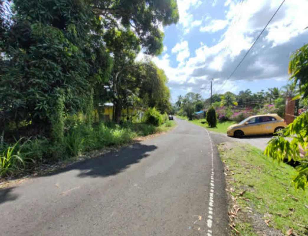 Paved residential street with lush greenery and driveway in Las Cumbres Panama