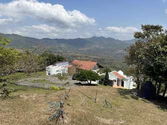 Beautifully landscaped driveway entrance with mature trees at Finca Naso Sora