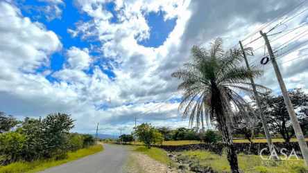 Frontage of rural lot on paved access road in Quebrada Las Tortugas Boquete Panama