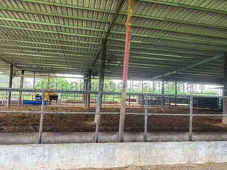 Agricultural Land / Ranch / Commercial Farm for Sale in El Llano - 0 bedrooms