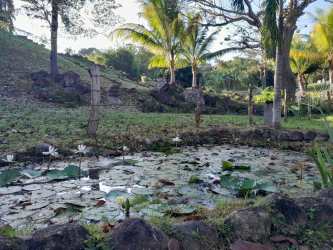 Wide grassy lot with scattered trees and countryside views in Los Lirios San Carlos