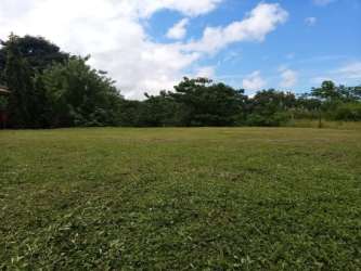 Aerial photo of yellow house, trees, paved road and gardens in Los Lirios Community Panama
