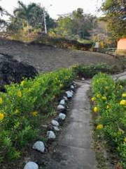 Land for Sale in San Carlos - 0 bedrooms