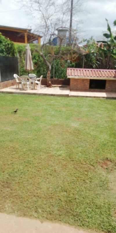 Spacious backyard with lawn, garden, terrace area, and dog house in Praderas de San Antonio Panama