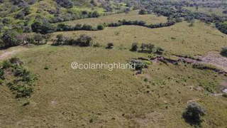 Farm / Ranch / Agricultural Land for Sale in Las Minas - 0 bedrooms