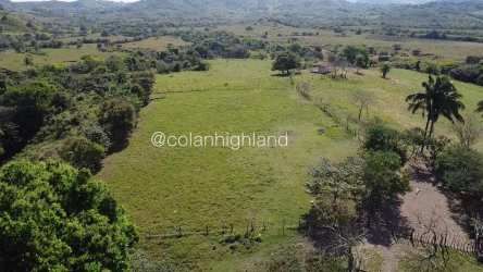 Open terrain for agriculture and livestock near El Ocú Panama Herrera