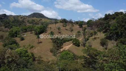 Rural dirt road lined with trees on rolling farm land Macaracas Los Santos Panama