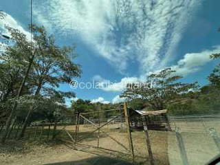 Ranch / Farmland for Sale in Macaracas - 0 bedrooms