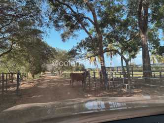 Exterior of large barn shelters with metal roofing cattle ranch Panama