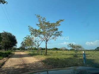 Wide pasture fields with trees and fence lines on agricultural ranch La Villa de Los Santos Panama