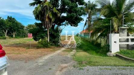 Palm trees swaying on grassy beachfront lot overlooking Pacific Ocean Sol y Mar El Farallón Panama