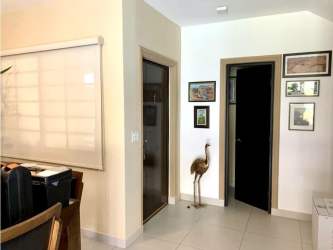 Modern open plan living dining furnished with large windows Woodlands Panama Pacifico