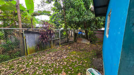 Dining room with wood table window greenery Cambutal Panama