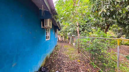 Backyard fenced blue wall fenced yard tree coverage Cambutal for sale