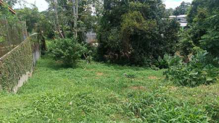 Residential lot with grassy slope, trees and driveway area La Chorrera Panamá