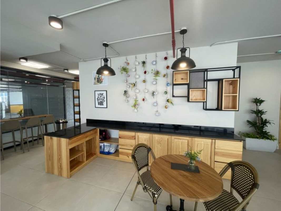 Modern kitchenette coffee area with wood cabinets plants PH Panama Viejo Tower 7 Panama
