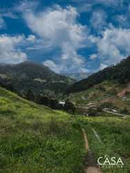 Green hills cultivated farmland dense forest Chiriquí highlands Panama