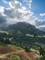 Agricultural mountain land lush forests cultivated areas Panama