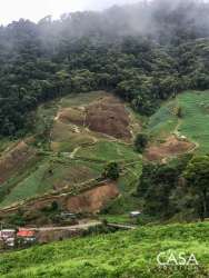Lush farmland mixed with forest mountain slopes misty background Chiriquí