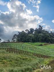 Cultivated farmland rolling hills under cloudy sky in Volcán Chiriquí Panama